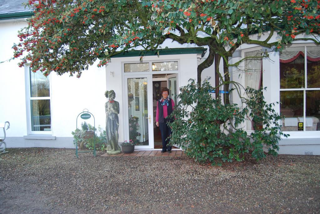 Grange Lodge Country House Dungannon Eksteriør billede